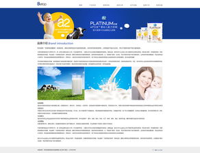 母嬰食品網站建設 奔唐網絡天津網站建設案例欣賞