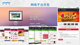 瓊海市互聯(lián)網(wǎng)協(xié)會會員風采 海南新視野企業(yè)營銷策劃服務有限公司——深耕本土，智創(chuàng)未來